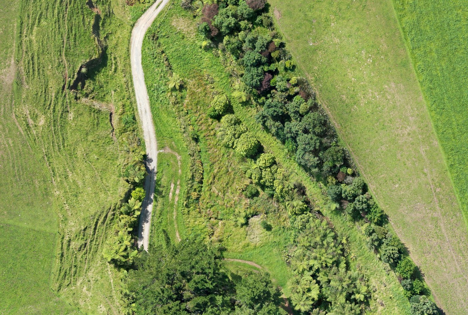 High-resolution orthomosaic detail example